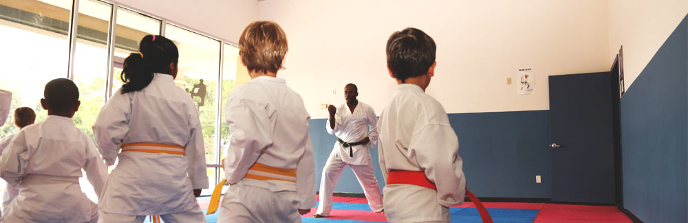 Houston kid karate classes